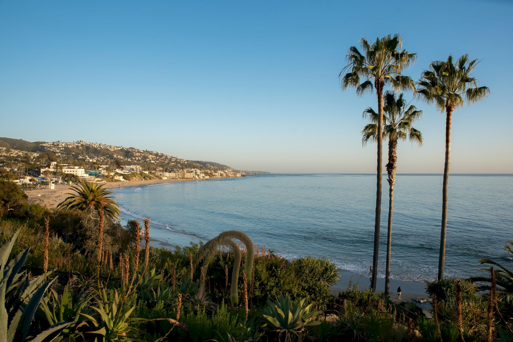 Pacifica Hotels
