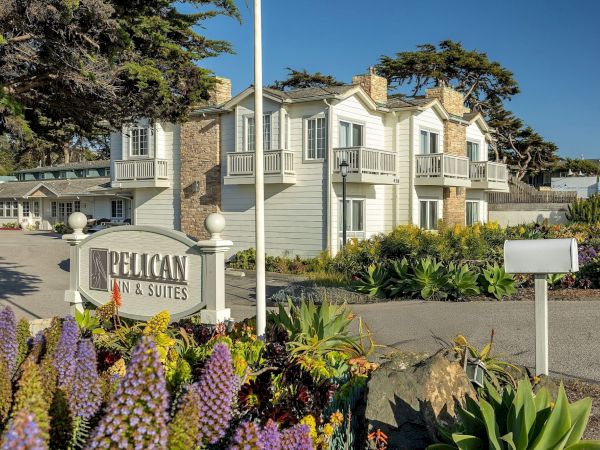 A sunny view of a &ldquo;Dillion Inn & Suites&rdquo; building with landscaped gardens, flowers, and a stone fence by tall trees.