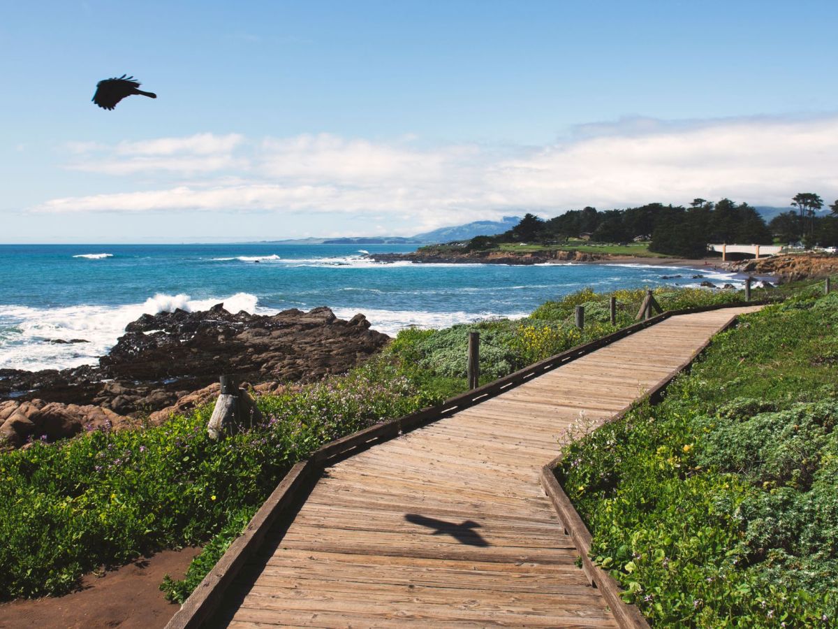 Pacifica Hotels