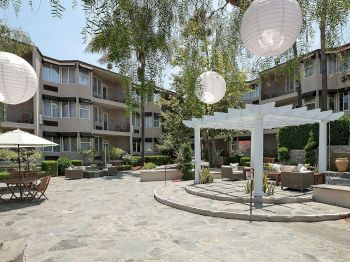 Hotel courtyard with a stone patio, lounge chairs, a white pergola, large paper lanterns, and leafy trees.