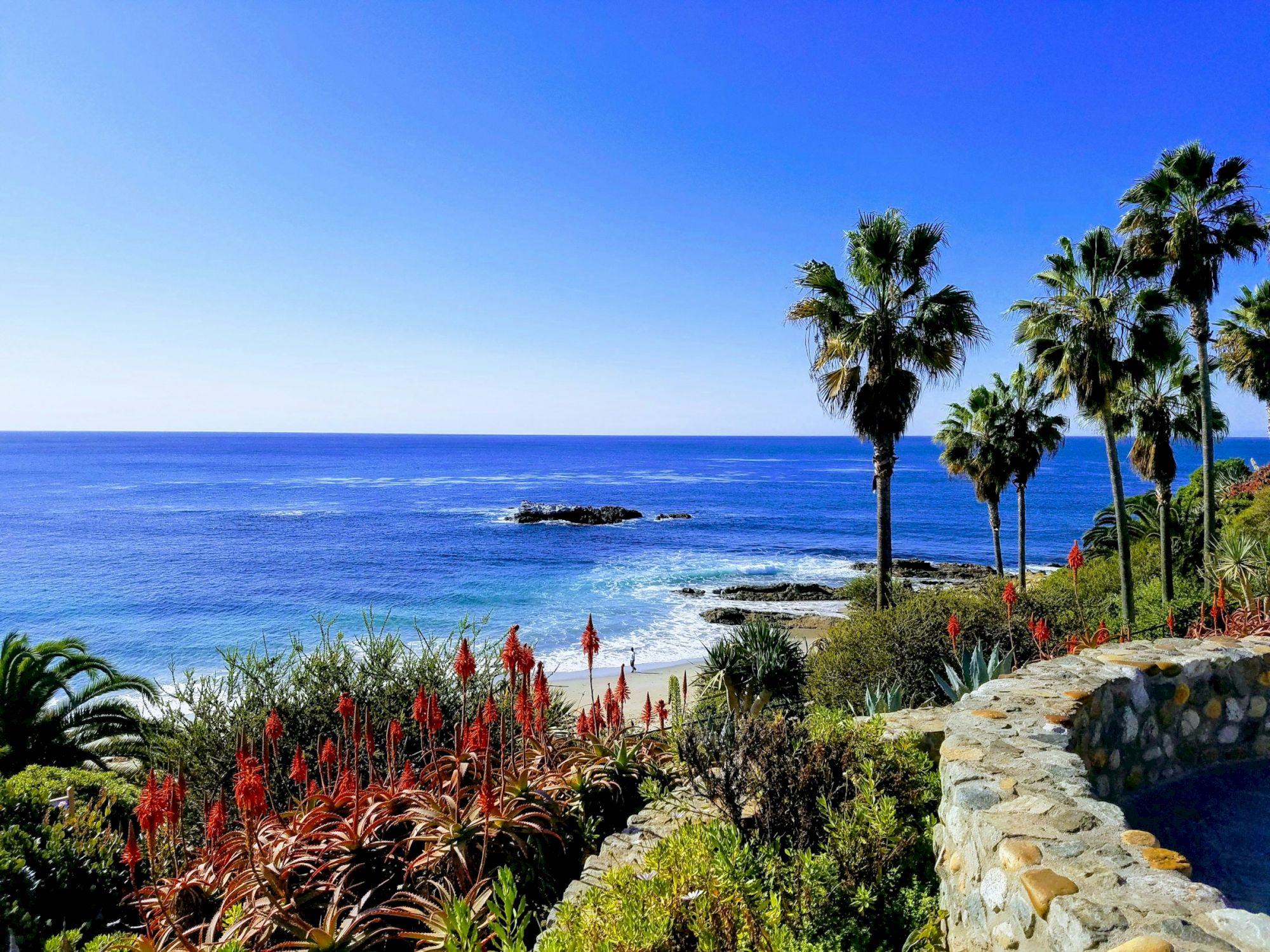 Palm trees, red flowers, and rocky cliffs overlook a bright blue ocean and a small rocky outcrop under a clear sky.