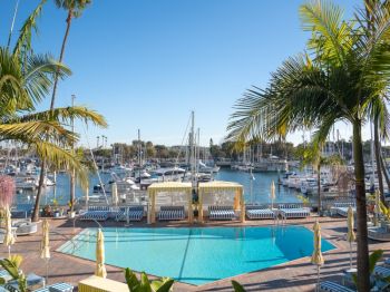 A sunny marina with sailboats, palm trees, and a bright blue hotel pool lined with lounge chairs.
