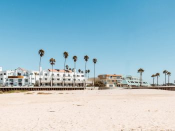 Sandy beach with tall palm trees and pastel beachfront apartments under a clear blue sky.