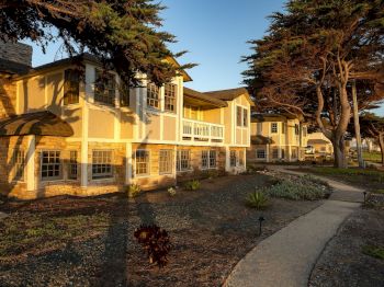 A yellow stone building with many windows sits in a landscaped yard, with trees casting shadows along the driveway.