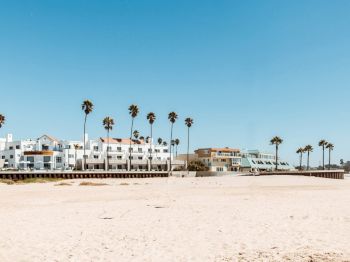Sunny beachfront resort with white buildings and tall palm trees lining the shore under a clear blue sky.