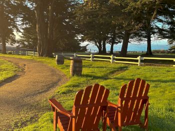An outdoor park scene with orange Adirondack chairs, a gravel path, large trees, and a distant blue ocean beyond the fence.