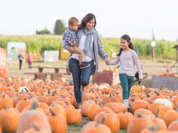 A smiling mom and two kids walk through a pumpkin patch, among tons of orange pumpkins, while the child looks at a toy.