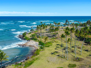 Aerial view of a tropical coastline with palm trees, sandy beach, and blue ocean waves under a clear sky.