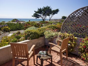 Sunny seaside terrace with two wooden chairs and wine, surrounded by blooming gardens, overlooking the ocean and a cluster of trees.
