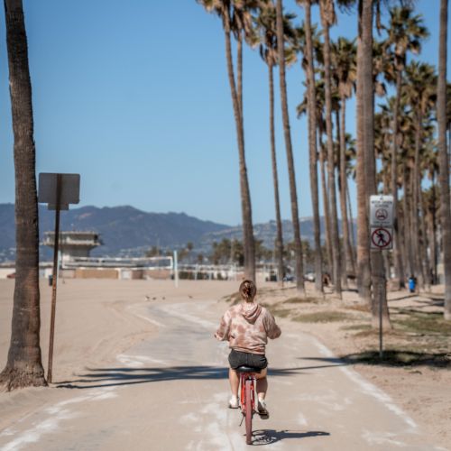 A person rides a bicycle down a sunny walkway lined with tall palm trees and warning signs, with mountains in the distance.