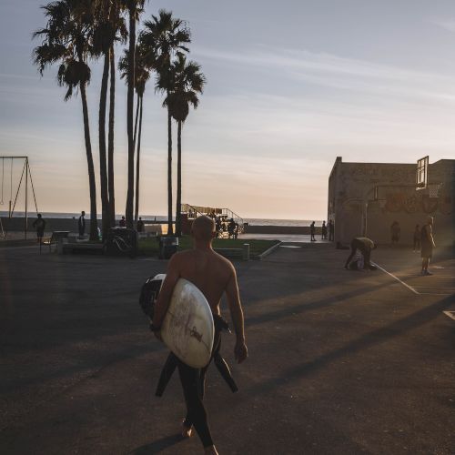 A surfer with a surfboard walks along a seaside promenade under tall palm trees as a bird glides overhead at sunset.