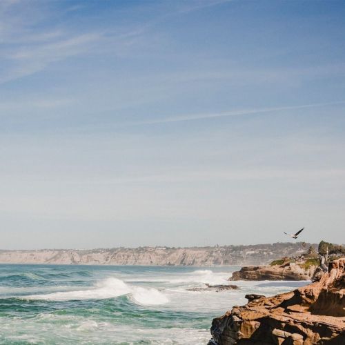 A blue ocean with foamy waves crashes on a rocky shore, palm trees at right, and a bird flies under a cloudy sky.