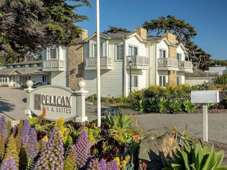 A sunny view of a &ldquo;Dillion Inn & Suites&rdquo; building with landscaped gardens, flowers, and a stone fence by tall trees.