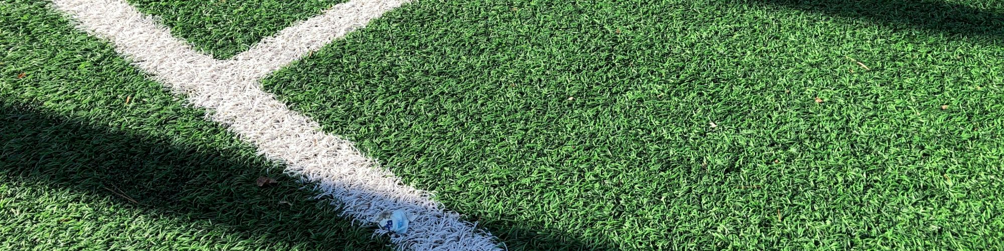 A close-up of bright green artificial turf with white/blue boundary edging and some leaves or debris along the seams.