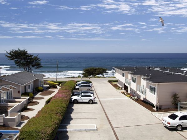A sunny seaside neighborhood with ocean waves and a seagull soaring over a row of parked cars and motel buildings.