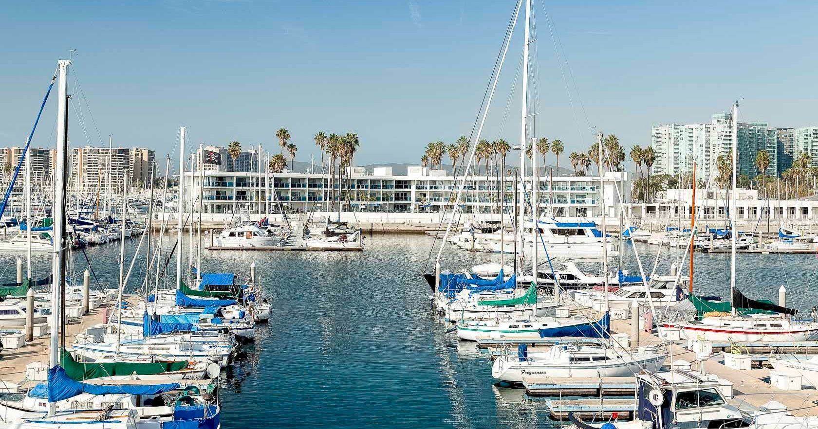 A calm harbor packed with sailboats and yachts, tall masts rising beside modern buildings under a clear blue sky.