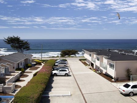 A sunny seaside neighborhood with ocean waves and a seagull soaring over a row of parked cars and motel buildings.