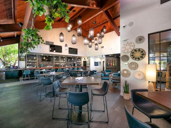 A cozy bar interior with a long counter, blue seats, hanging pendant lights, lush plants, and decorative woven wall art.