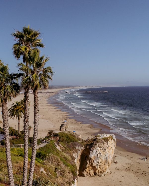 Pacifica Hotels
